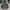 Gorpcore Casual Parka Pria green photo 1