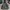 Gorpcore Casual Parka Pria Green