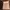 Streetwear Minimalist Sweatshirt Pria multicolor photo 4