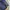 Gorpcore Casual Parka Pria navy black photo 4