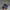 Nike Sportswear Sneakers Pria blue photo 1