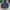 Uniqlo Gorpcore Casual Windbreaker Pria navy photo 1