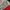 Kappa Vintage Sportswear Track Jacket Pria Multicolor