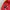 Helly Hansen Casual Bomber jacket Pria red photo 3