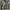 Vintage Jeans Pria gray photo 5