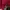 Indie Casual Cardigan Wanita red photo 3