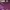 Topten Casual Sweater Wanita Purple