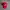 Vintage Y2K Hat Pria red photo 1