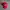 Vintage Y2K Hat Pria Red
