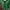 Fairy Coquette Cardigan Wanita green photo 2