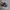 Nike Streetwear Casual Sneakers Pria multicolor photo 1