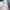 Dickies Skater Casual Casual pants Pria cream photo 4