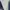 Dickies Skater Casual Casual pants Pria cream photo 6