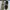 Nike Sportswear Casual Sneakers Pria white black photo 4