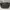 Coach Luxury Casual Shoulder bag Wanita gray photo 1