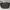 Coach Luxury Casual Shoulder Bag Wanita Gray