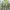 Zara Casual Crop top Wanita green photo 2