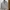 H&M Futurist Casual Sweater Wanita white black photo 1