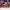 Nike Sportswear Casual Sneakers Pria multicolor red photo 3