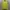 Vivastudio Streetwear Luxury Sweater Pria yellow photo 1