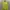 Vivastudio Streetwear Luxury Sweater Pria Yellow