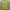 Vivastudio Streetwear Luxury Sweater Pria yellow photo 2