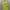 Vivastudio Streetwear Luxury Sweater Pria Yellow