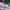 Streetwear Sportswear Sneakers Pria white red photo 2