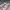 Streetwear Sportswear Sneakers Pria white red photo 1