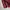 True Religion Vintage Y2K Casual shirt Pria red photo 4