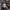 Beams Streetwear Casual Formal shirt Pria tan photo 4