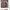Beams Streetwear Casual Formal Shirt Pria Tan
