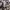 Beams Streetwear Casual Formal shirt Pria tan photo 3