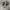 Adidas Skater Sportswear Sneakers Wanita white black photo 2