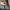 Streetwear Sweatshirt Pria multicolor photo 4