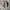 Nike Streetwear Sneakers Pria purple white photo 5