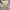 Uniform Bridge Streetwear Casual pants Pria khaki photo 6