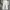 Uniform Bridge Streetwear Casual pants Pria white photo 6