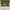 Realtree Streetwear Y2K Jeans Pria multicolor photo 5