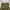 Realtree Streetwear Y2K Jeans Pria multicolor photo 6