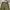 Streetwear Y2K Casual pants Pria green photo 5