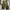 Streetwear Y2K Casual pants Pria green photo 8
