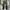 Polo Ralph Lauren Streetwear Biker Jeans Pria green photo 5