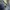 Vintage Y2K Jeans Pria navy blue photo 6