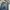 Vintage Y2K Jeans Pria navy blue photo 7