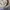 Forever 21 Streetwear Sweater Pria tan photo 3