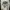 Zara Gorpcore Emo Sweater Wanita white photo 2