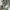 Zara Gorpcore Emo Sweater Wanita white photo 5