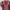 Pakaian adat Pakaian Nasional Kebaya Wanita gold red photo 2