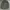 Carhartt Vintage Formal shirt Pria green photo 1